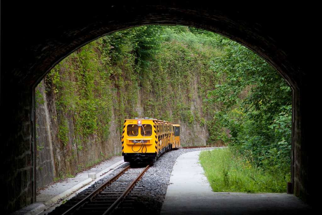 Tren minero desde el tunel de La Trechora. Ecomuseo del Valle del Samu&ntilde;o. Langreo. Asturias  2012