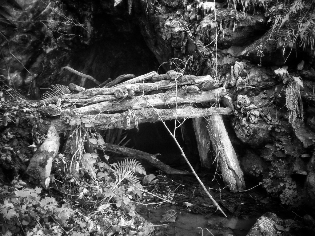 Antigua bocamina  de Luis en la Zona de Corros, parroquia de Nimbra. Quiros. Asturias 2014