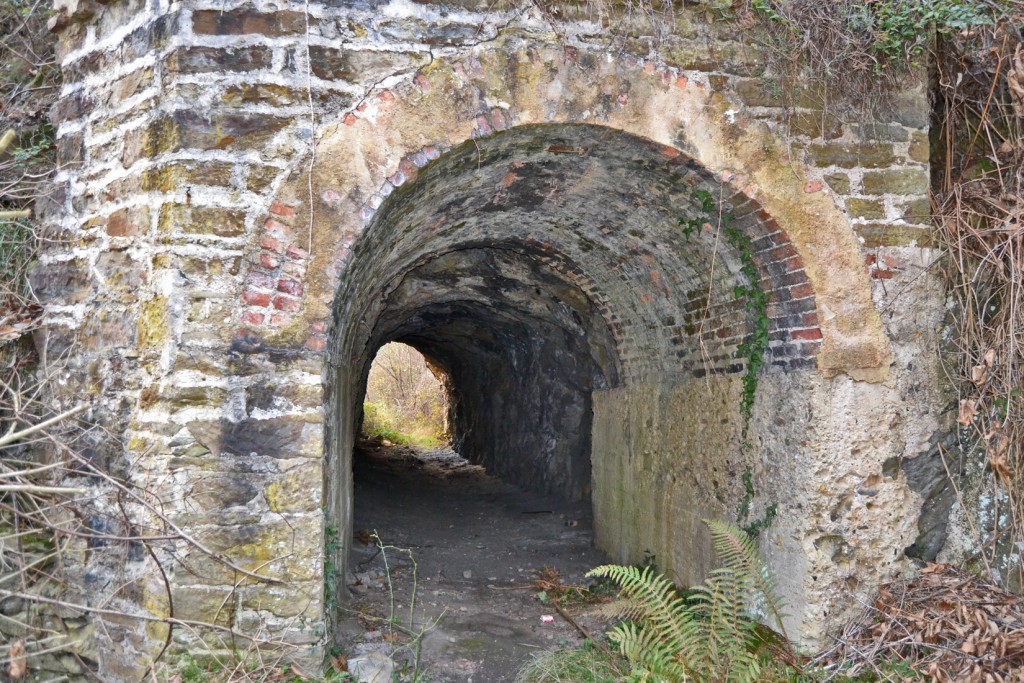 Túnel del ramal minero del Ferrocarril de Valdelospozos, que llevaba el carbón hasta el cable que lo bajaba hasta el Pozo Villar. Blimea. S.M.R.A. Asturias 2012