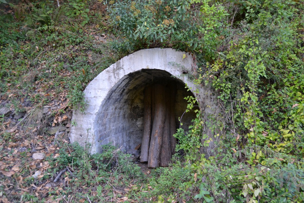 Bocamina del 5º piso de Mina Marianas. Moreda. Aller. Asturias 2015