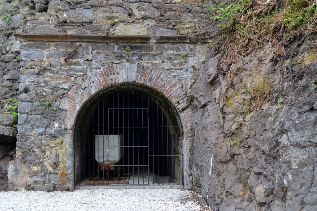 Bocamina del nivel 0 de Mina San Victor. Turón. Mieres. Asturias 2015