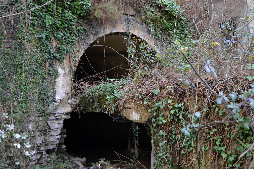 Bocamina del grupo Pontones. Valle del Rio Negro. Aller. Asturias 2013
