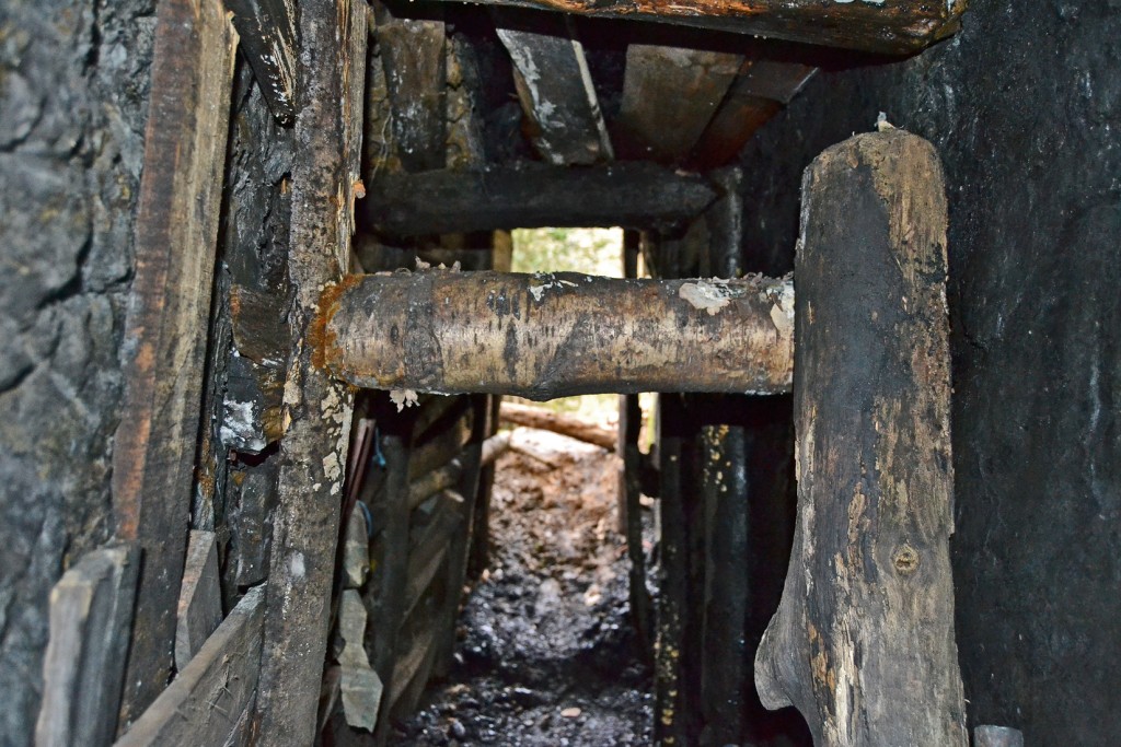 Interior de un chamizo en los montes de Polio. Mieres. Asturias 2014