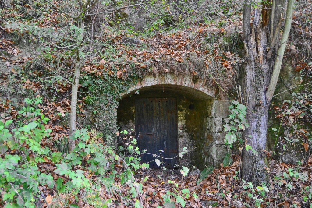 Bocamina del Grupo San Alejandro. Lena. Asturias 2013