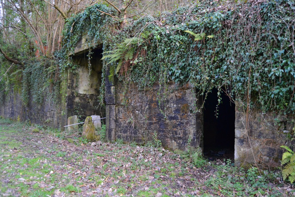 Bocaminas principal y auxiliar del pozo plano Fortuna. Turón. Mieres. Asturias 2013