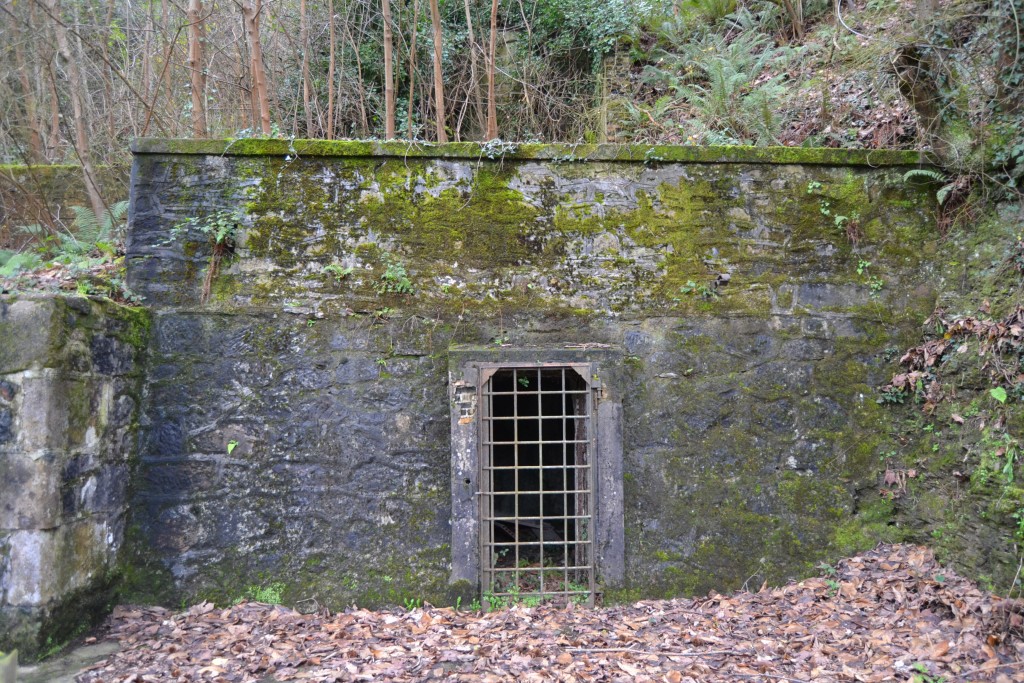 Entrada auxiliar, para el personal, en la Bocamina del Pozo Plano Generala. El Entrego. SMRA. Asturias 2014