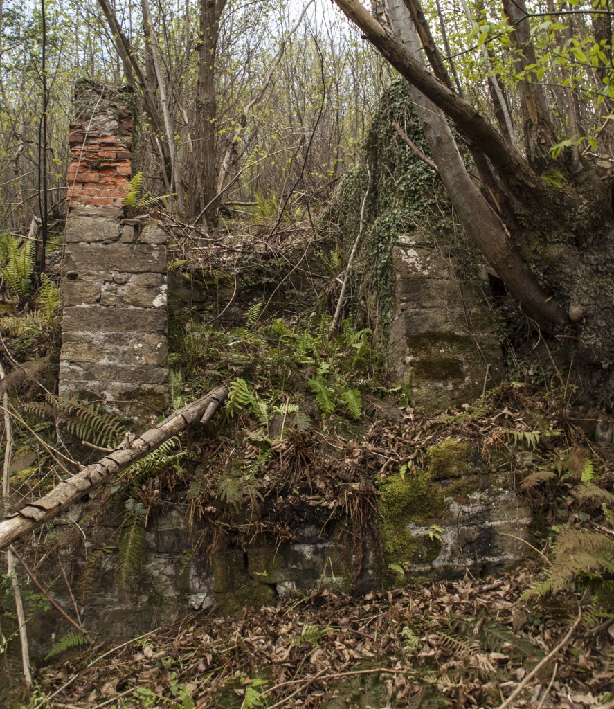 Restos de la casa de maquinas del plano inclinado de Mina La Riquela. Valle de Turón. Mieres. Asturias 2016