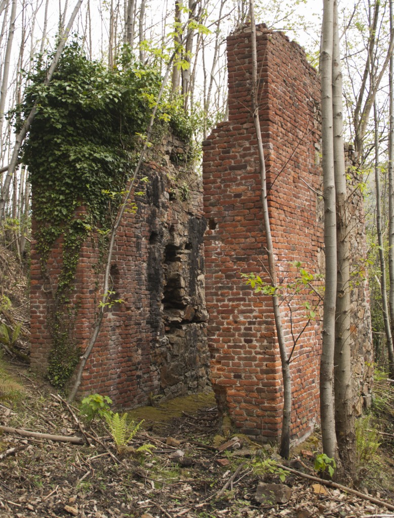 Restos de la casa de maquinas del plano inclinado de Mina La Riquela. Valle de Turón. Mieres. Asturias 2016