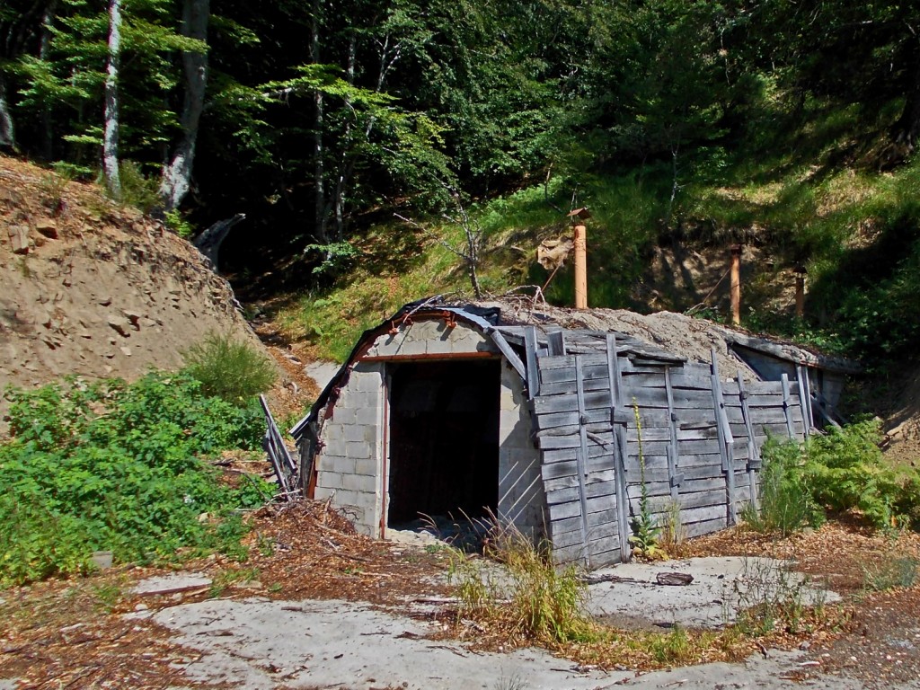 Bocamina del nivel III, del Grupo Monasterio, de Antracitas de Velilla. Velilla del Río Carrión. Palencia 2013