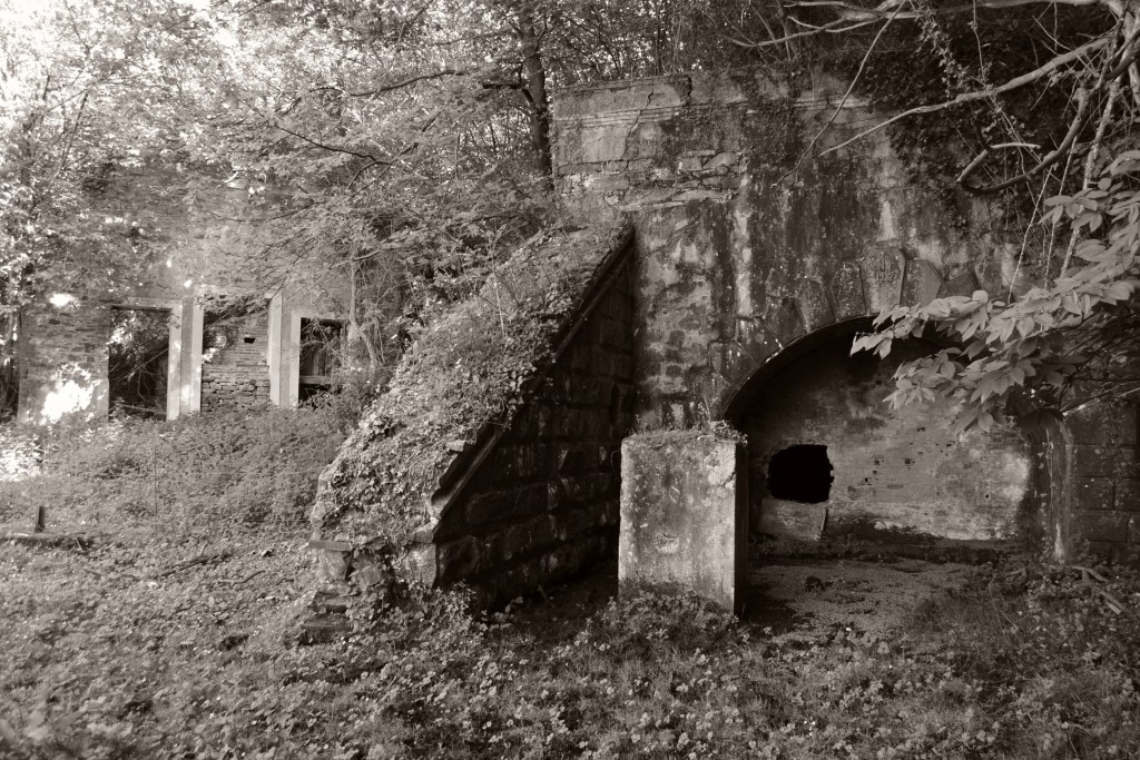 Bocamina del tercer piso de la Mina San Francisco. Turón. Asturias 2014