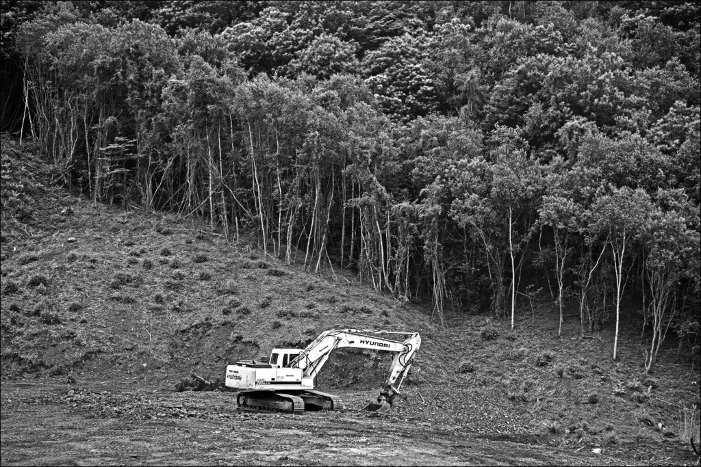 Desmonte de la escombrera de Minas de Figaredo. Mieres. Asturias 2016