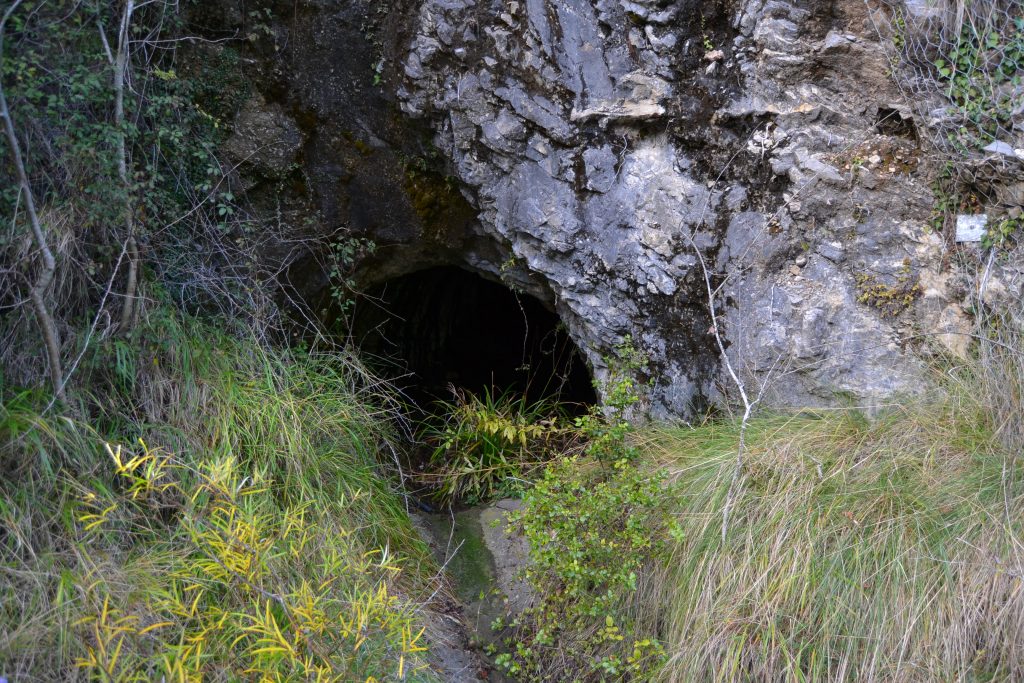 Bocamina Mina Dos Amelias (o mina de Los Picayos). Explotación de cobalto. Niserias. Peñamellera Alta. Asturias 2016