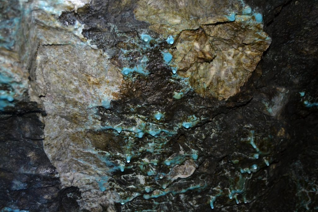 Minerales de cobalto y carbonatos en la Mina Dos Amelias (o mina de Los Picayos). Explotación de cobalto. Niserias. Peñamellera Alta. Asturias 2016