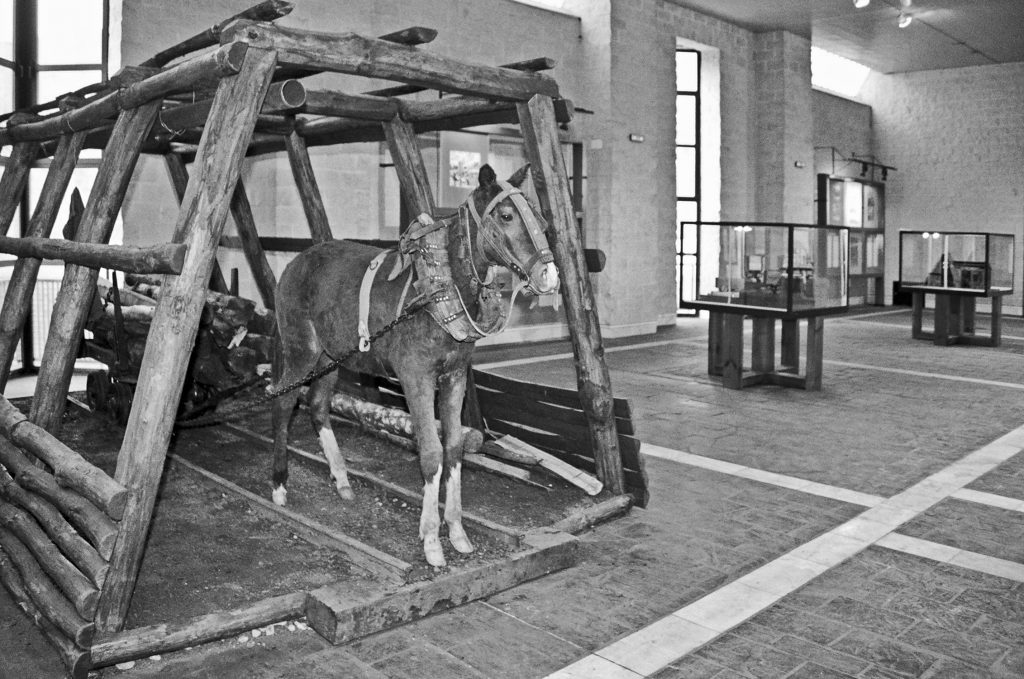 Museo de La minería y la Industria de Asturias. El Entrego. San Martín del Rey Aurelio. Año 1994