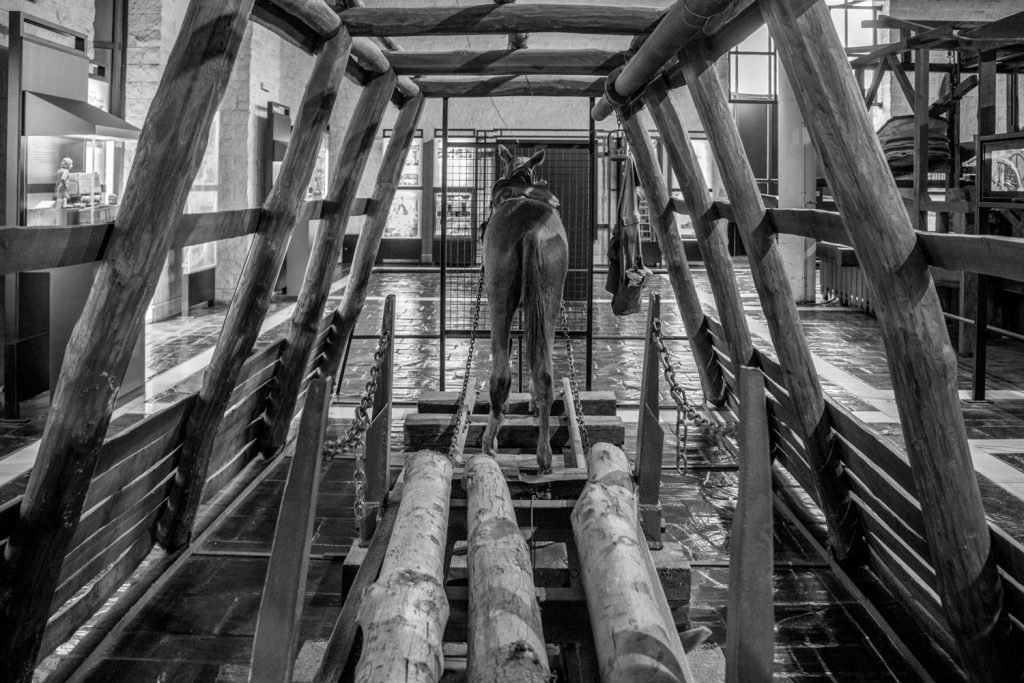 Museo de La Minería y la Industria de Asturias. El Entrego. San Martín del Rey Aurelio. Asturias 2016