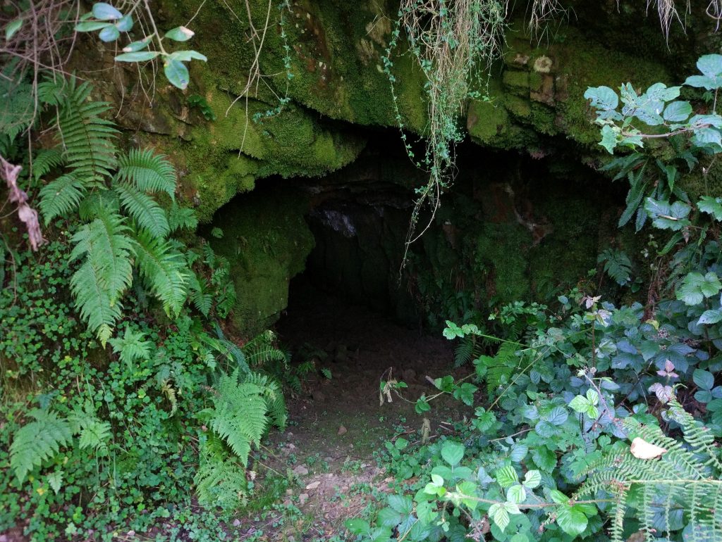 Bocamina de Minas La Basconia. Güeria San Xuan. Mieres. Asturias. 2017