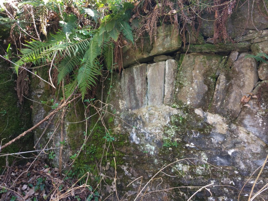 Bocamina del cuarto piso del Grupo San Pedro. Valle de Turón. Mieres. Asturias. 2017