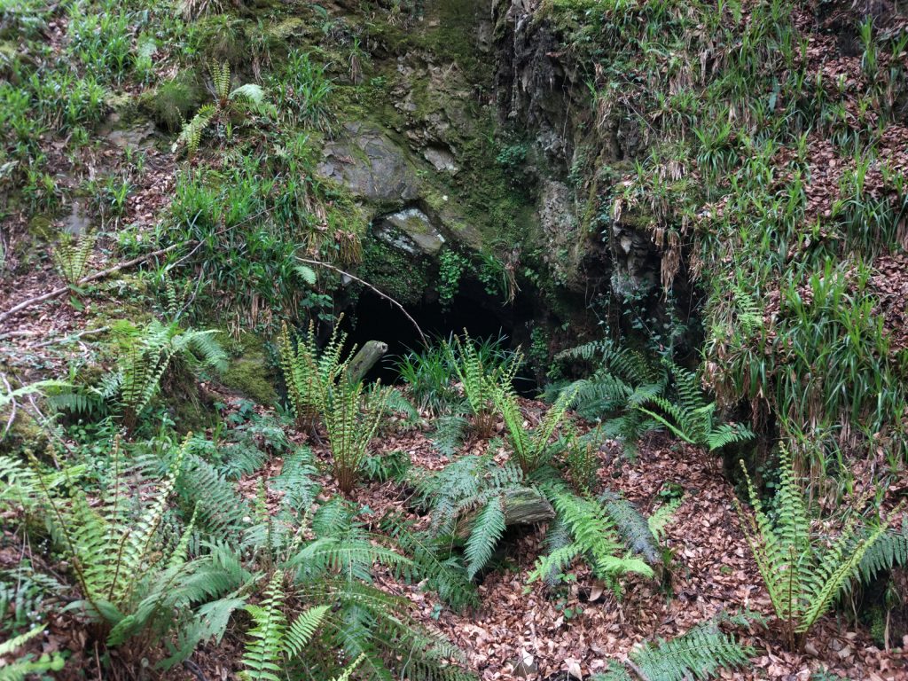 Bocamina del quinto piso de las Minas de Urbiés o Bocamina La Barrera. Valle de Turón. Mieres. Asturias. 2017
