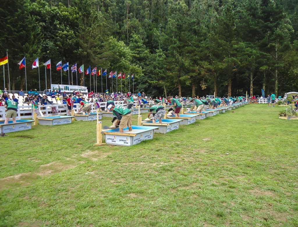 Campeonato Mundial de Bateo de Oro. Navelgas, Tineo, Asturias. 2015