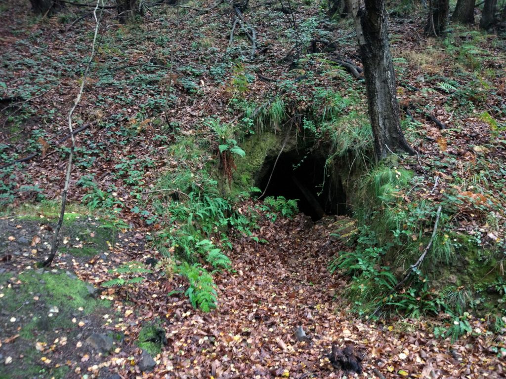 Bocamina de Mina Tonín o La Nozal. Valle de San Tirso. Mieres. Asturias. 2017