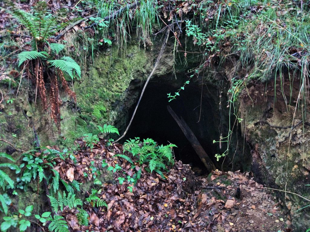 Bocamina de Mina Tonín o La Nozal. Valle de San Tirso. Mieres. Asturias. 2017
