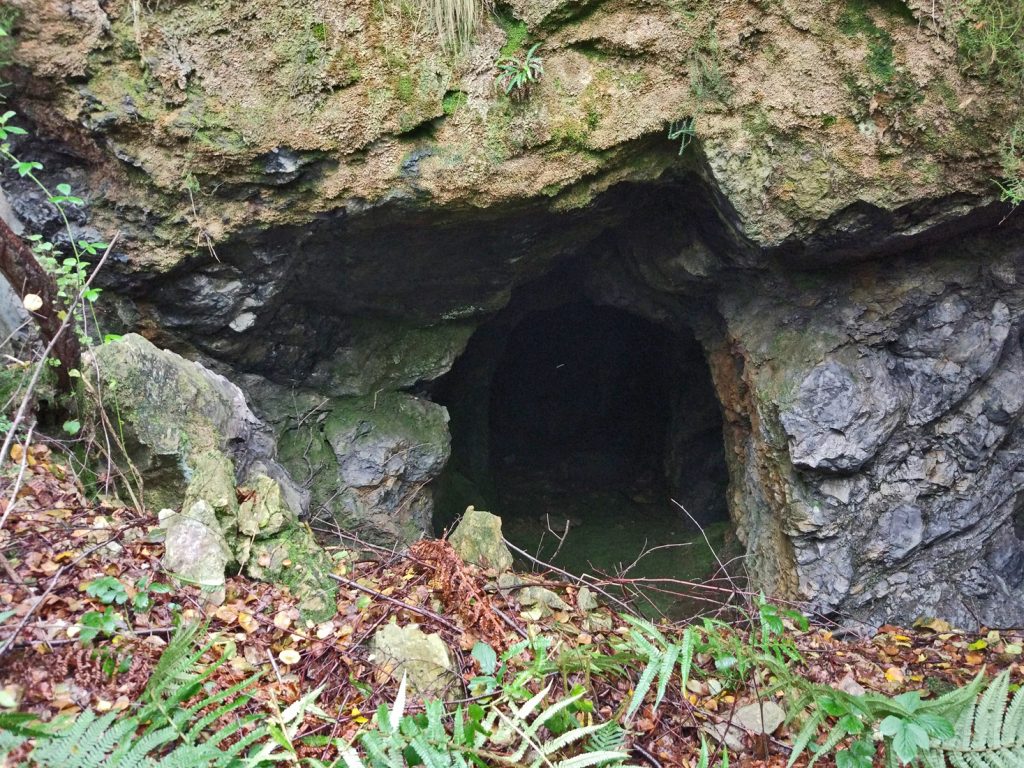 Bocamina de Mina Tonín o La Nozal. Valle de San Tirso. Mieres. Asturias. 2017