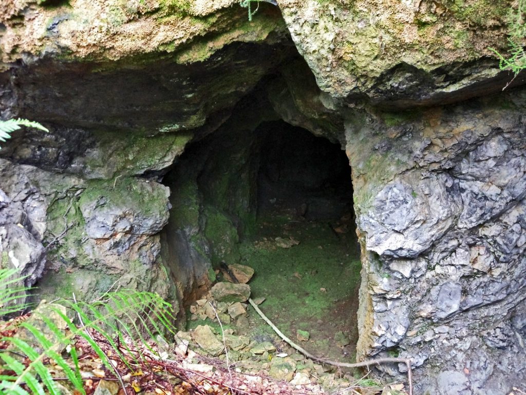 Bocamina de Mina Tonín o La Nozal. Valle de San Tirso. Mieres. Asturias. 2017