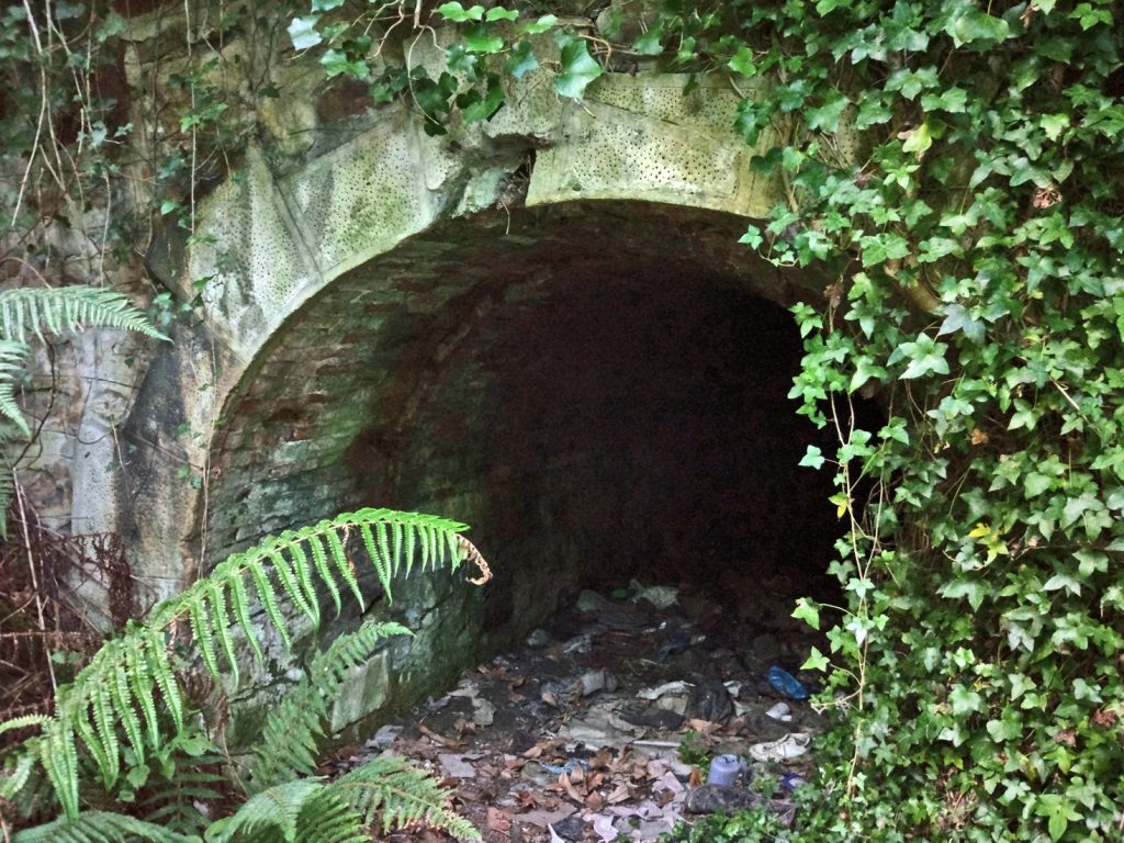 Bocamina del primer piso de la Mina Clavelina o La Llama. Valle de Turón. Mieres. Asturias. 2017