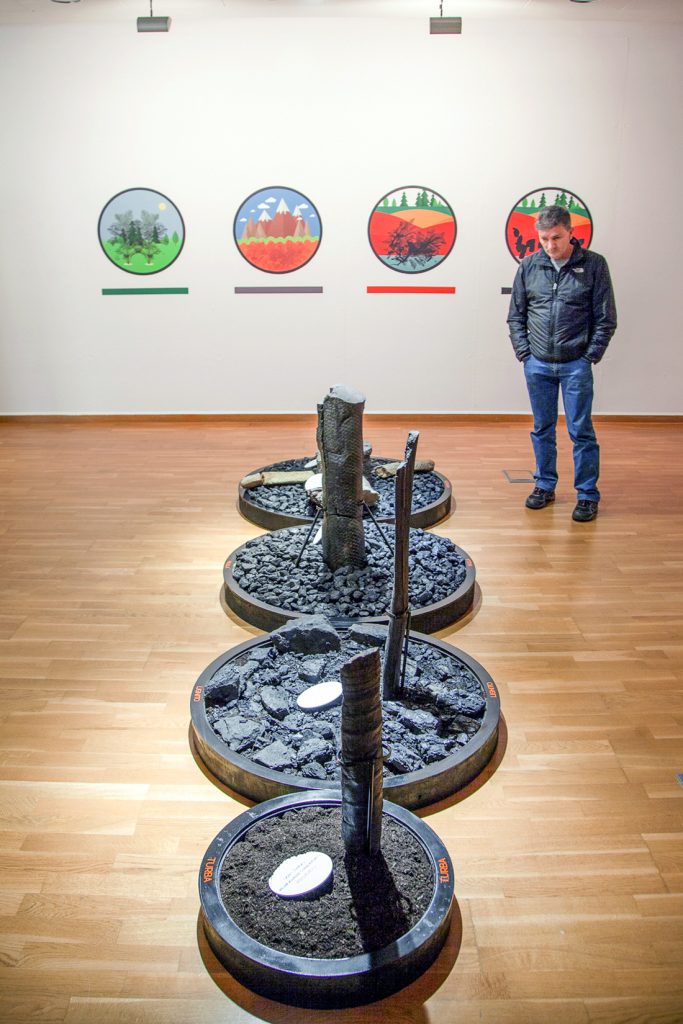 Exposición “Fósiles, El Origen del Carbón”. Museo de la Siderurgia y la Minería de Castilla y León. Sabero. León. 2017