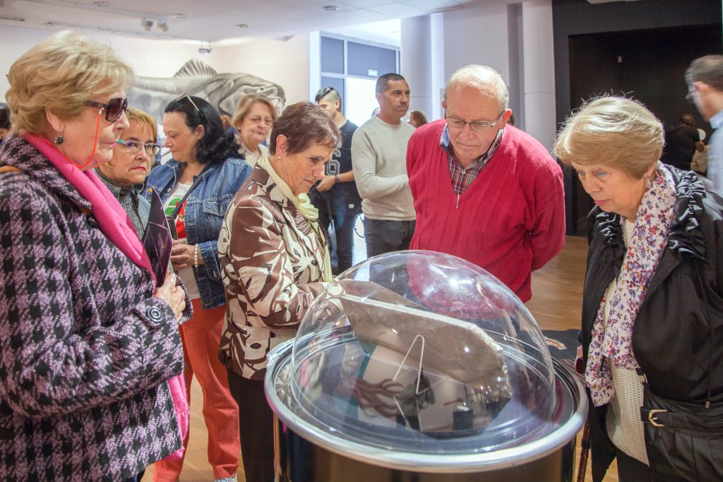 Exposición “Fósiles, El Origen del Carbón”. Museo de la Siderurgia y la Minería de Castilla y León. Sabero. León. 2017