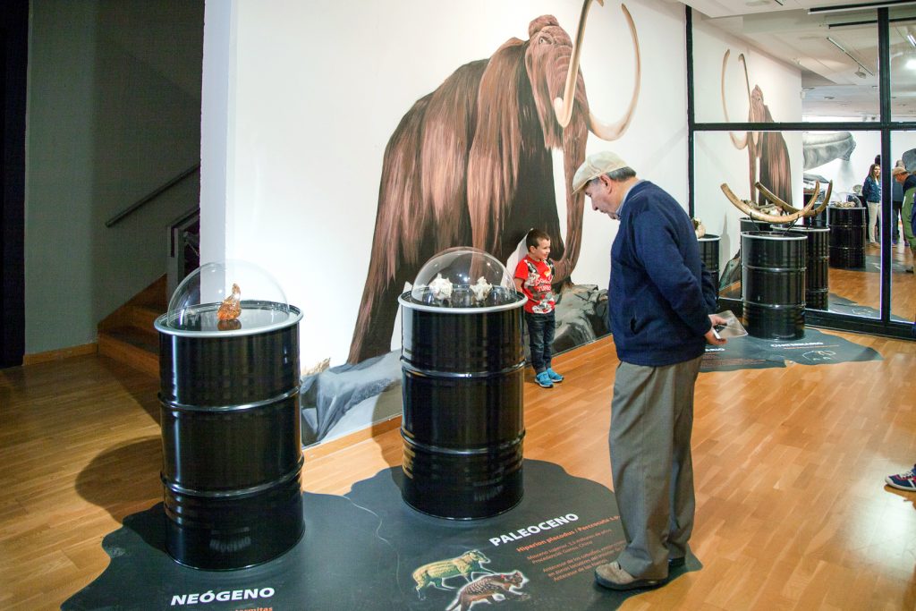 Exposición “Fósiles, El Origen del Carbón”. Museo de la Siderurgia y la Minería de Castilla y León. Sabero. León. 2017