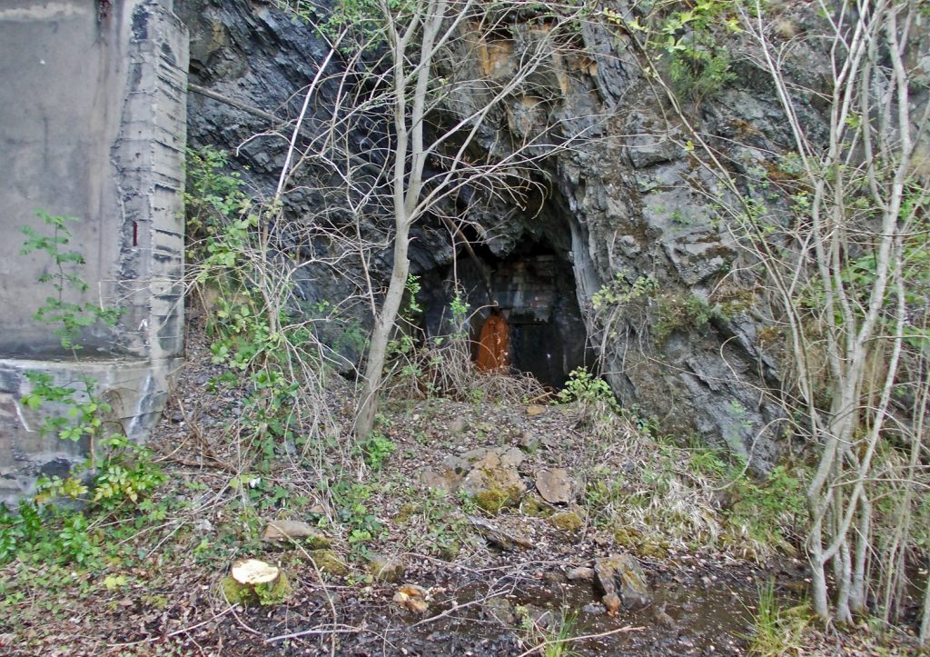 Bocamina de la Mina Campomanes Hermanos. Santa Cruz de Montes, Torre del Bierzo. León. 2017