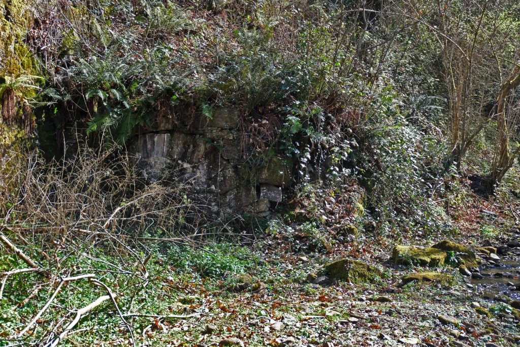 Antigua bocamina del cuarto piso del Grupo San Pedro. Valle de Turón. Mieres. Asturias. 2017
