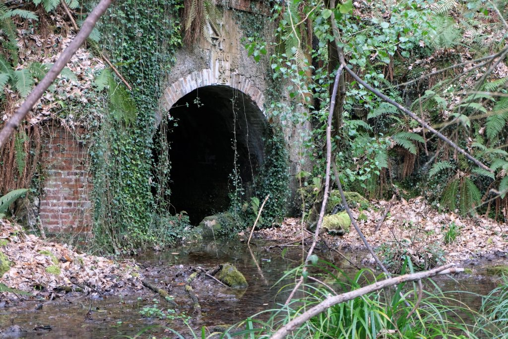 Bocamina del primer piso de la Mina Mariana. Mieres. Asturias. 2017