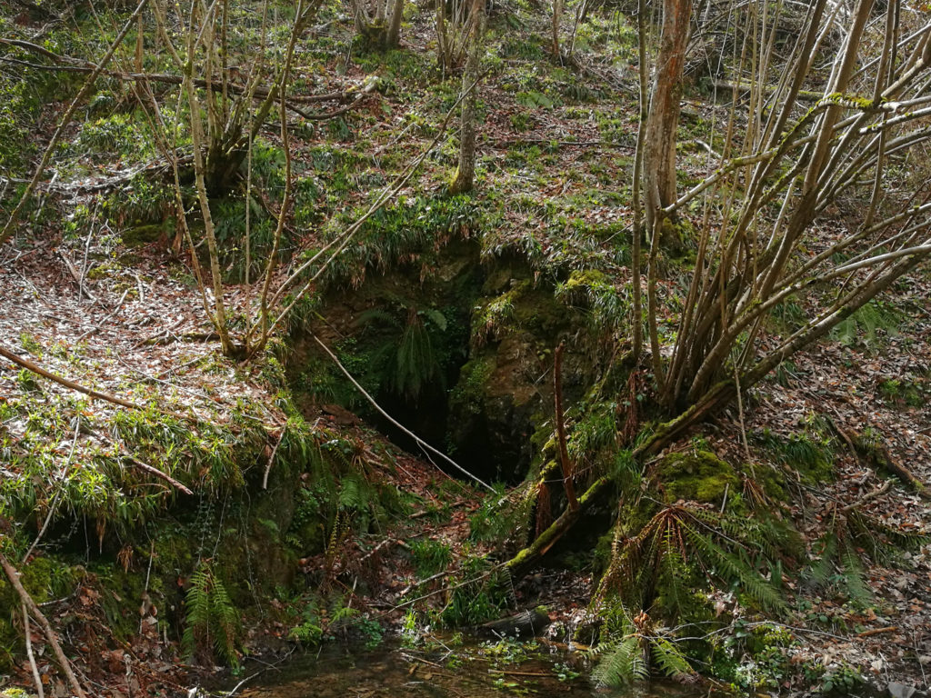 Bocamina del tercer piso de las Minas de Urbiés. Valle de Turón. Mieres. Asturias. 2018