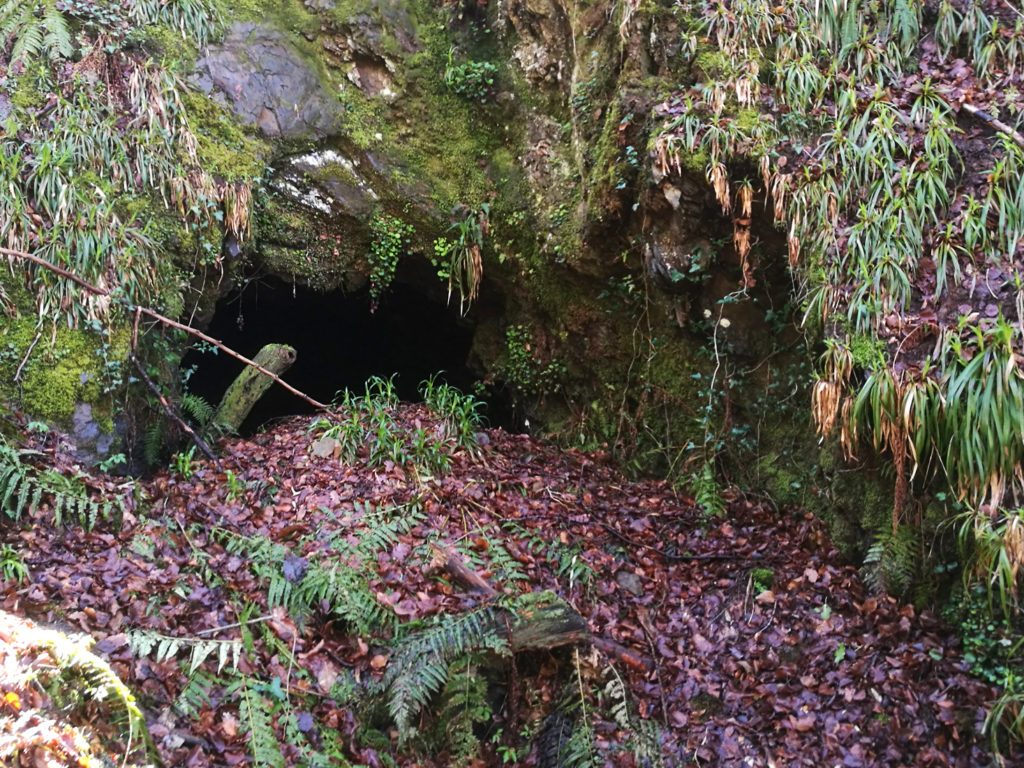 Bocamina del quinto piso de las Minas de Urbiés. Valle de Turón. Mieres. Asturias. 2018