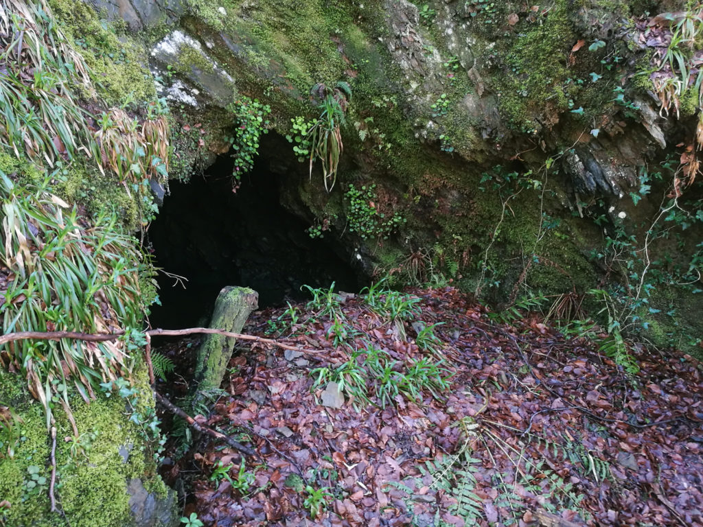 Bocamina del quinto piso de las Minas de Urbiés. Valle de Turón. Mieres. Asturias. 2018