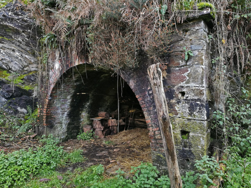 Bocamina del primer piso del Grupo San Pedro. Valle de Turón. Mieres. Asturias. 2017