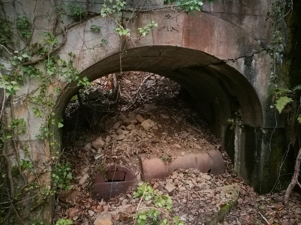 Bocamina junto al Pozo San Fernando. Aller. Asturias. 2018