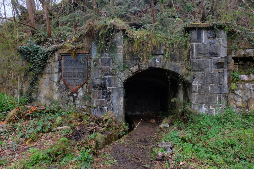 Bocamina del Pozo Mosquitera I. Siero. Asturias. 2018