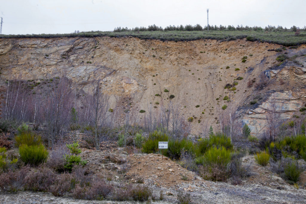 Bosque Fósil de Valdesamario, antigua explotación de carbon a cielo abierto. León 2018