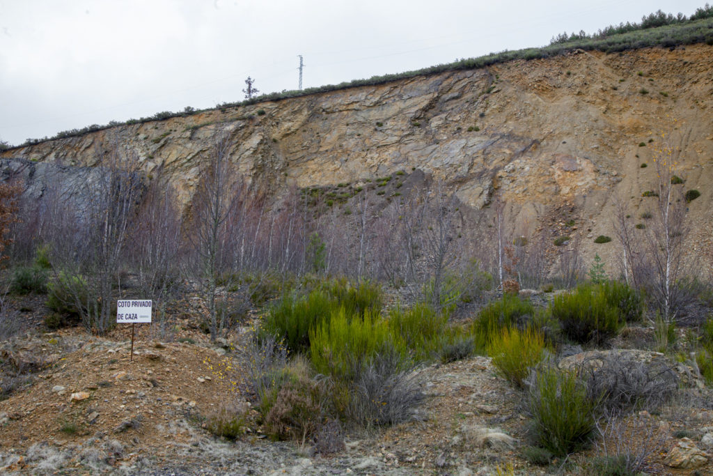 Bosque Fósil de Valdesamario, antigua explotación de carbon a cielo abierto. León 2018