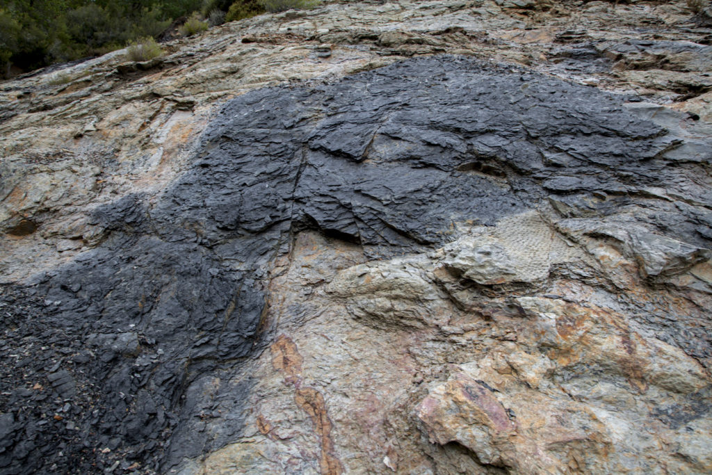 Bosque Fósil de Valdesamario, antigua explotación de carbon a cielo abierto. León 2018