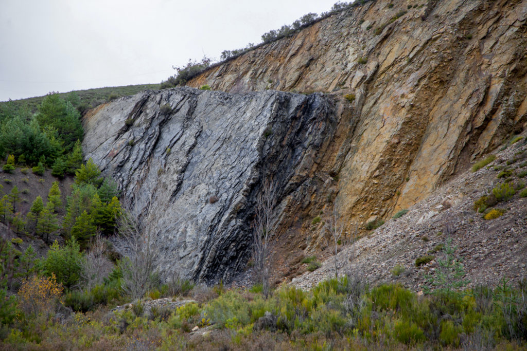 Bosque Fósil de Valdesamario, antigua explotación de carbon a cielo abierto. León 2018