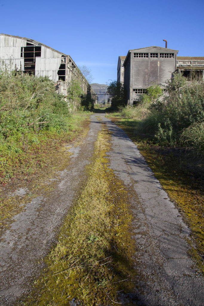 Instalaciones abandonadas de la Factoría de Nitrastur. Langreo. Asturias 2016