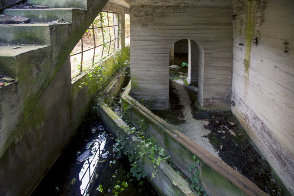 Instalaciones abandonadas de el  Pozo Llamas. Ablaña. Mieres. Asturias 2017