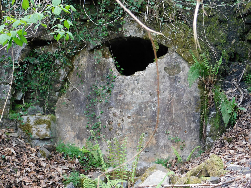 Bocamina de las Instalaciones antiguas de la Mina Coto Musel. Laviana. Asturias 2018