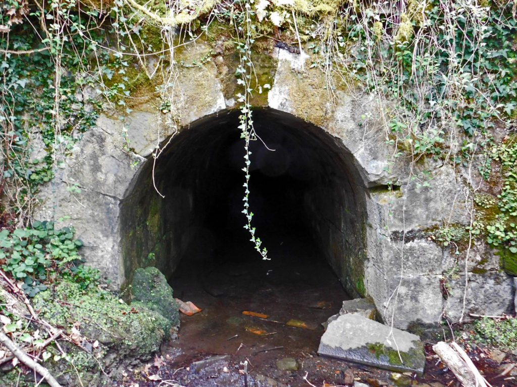 Bocamina de las Instalaciones antiguas de la Mina Coto Musel. Laviana. Asturias 2018