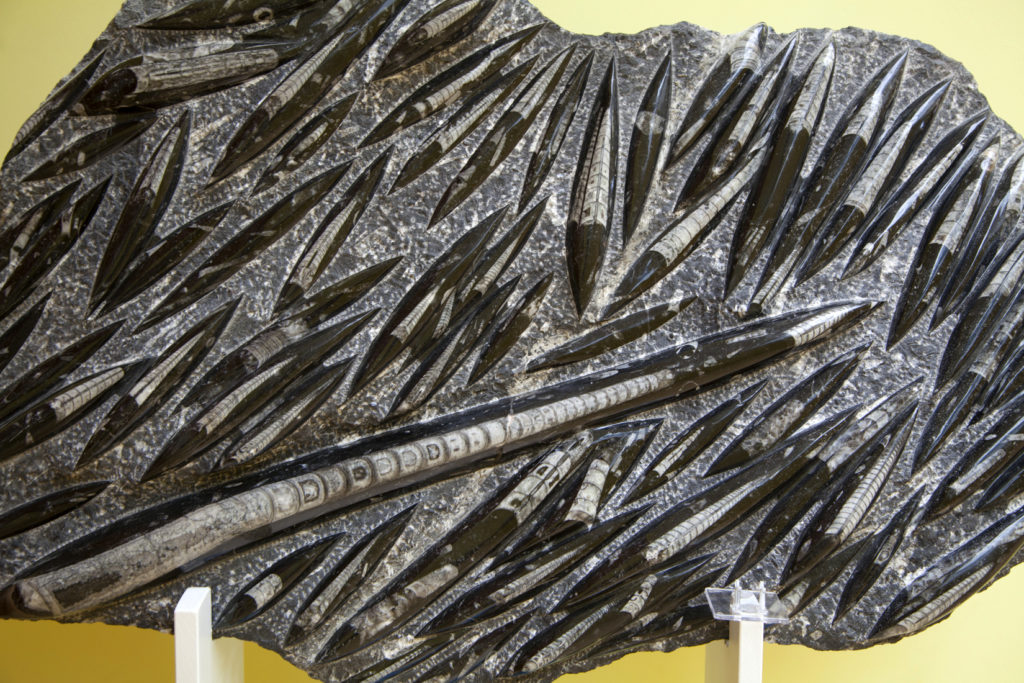 Exposición permanente de Mineralogía, compuesta por 600 piezas. Casa de las Culturas. Bembibre. León 2018