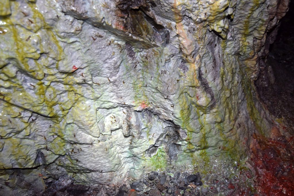 Mineralizaciones en las instalaciones abandonadas de la Mina Divina Providencia. Villanueva de Pontedo. Carmenes. Leon 2018